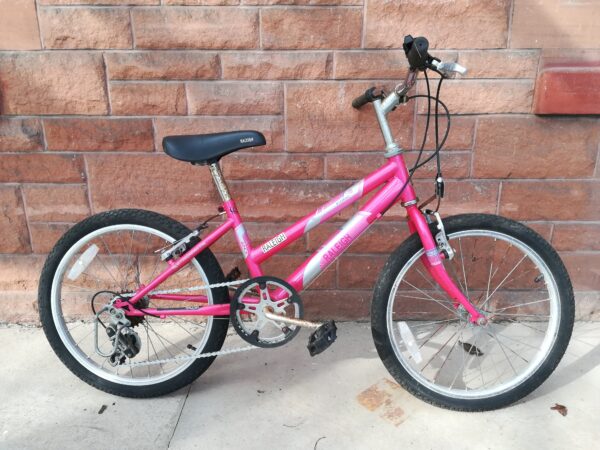 Raleigh Kobo