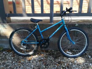Raleigh Calypso
