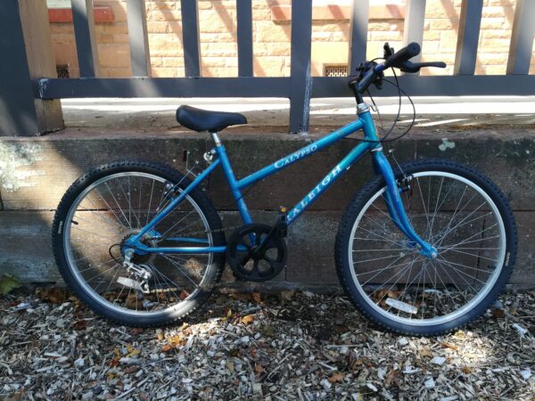 Raleigh Calypso
