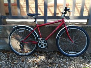 Raleigh Spirit 18