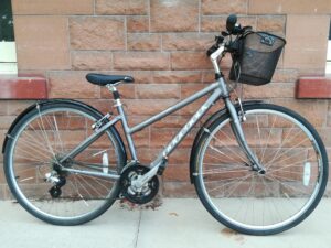 Raleigh Velocity