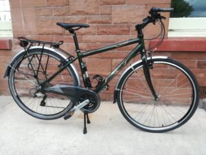 Raleigh Pioneer Metro GCX